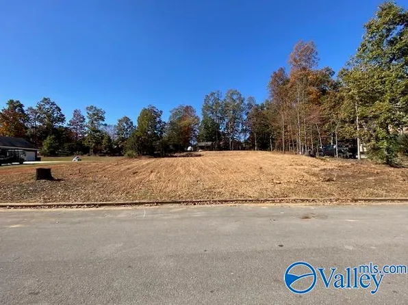 11225 John Pugh Rd, Tanner, AL 35671