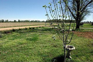 1st image of 3166 County Road 533