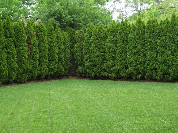 Yard