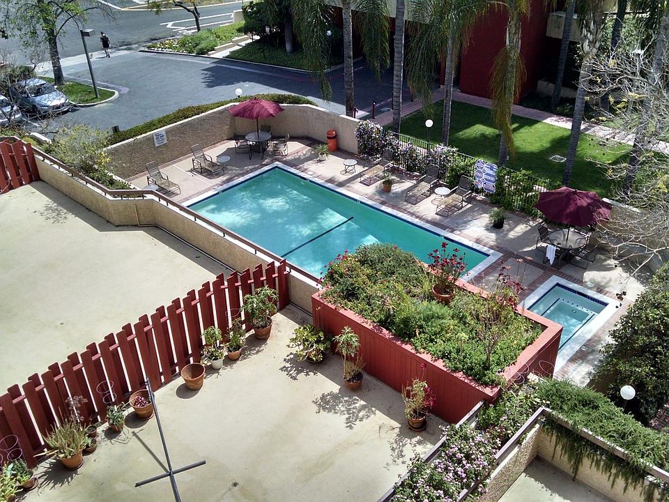 Rooftop View