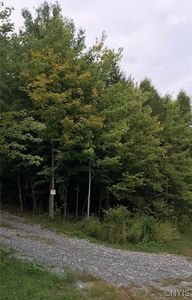 (Undisclosed Address), Antwerp, NY, 13608