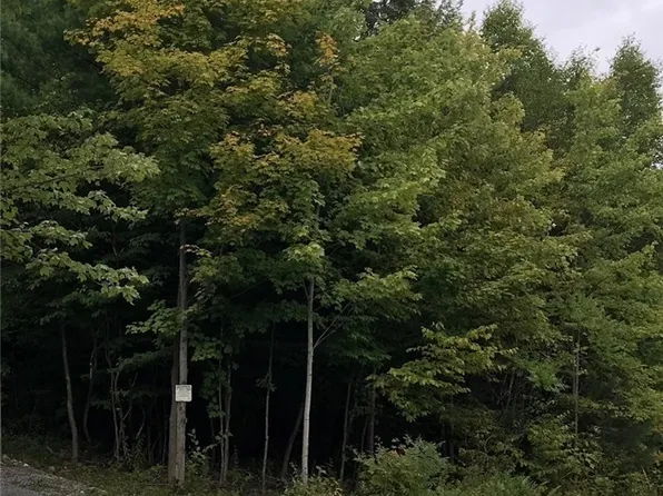 (undisclosed Address), Antwerp, NY 13608