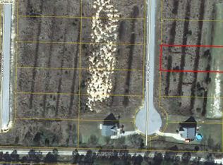 32 Tropical Way, Freeport, FL 32439