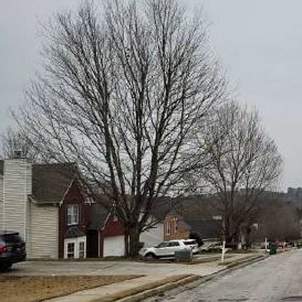 Exterior Neighborhood (street photo)