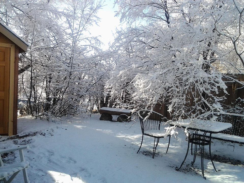 Private fenced yard