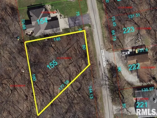 155 Briarwood Pl, Dahinda, IL 61428