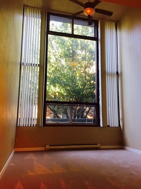 Wall of windows