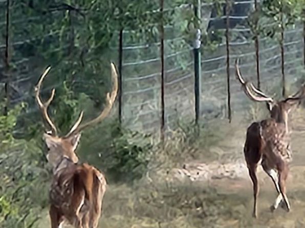 9286 County Road 2335, Eden, TX 76837