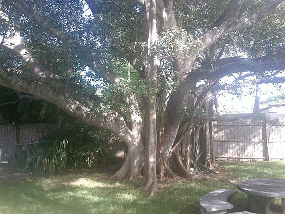 2nd image of 221 Grant Dr