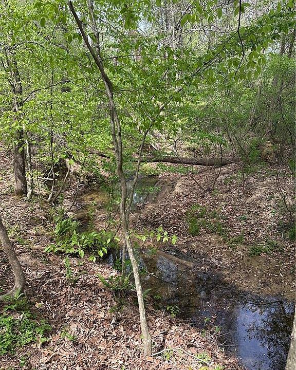 2nd image of 0 Will Boone Rd