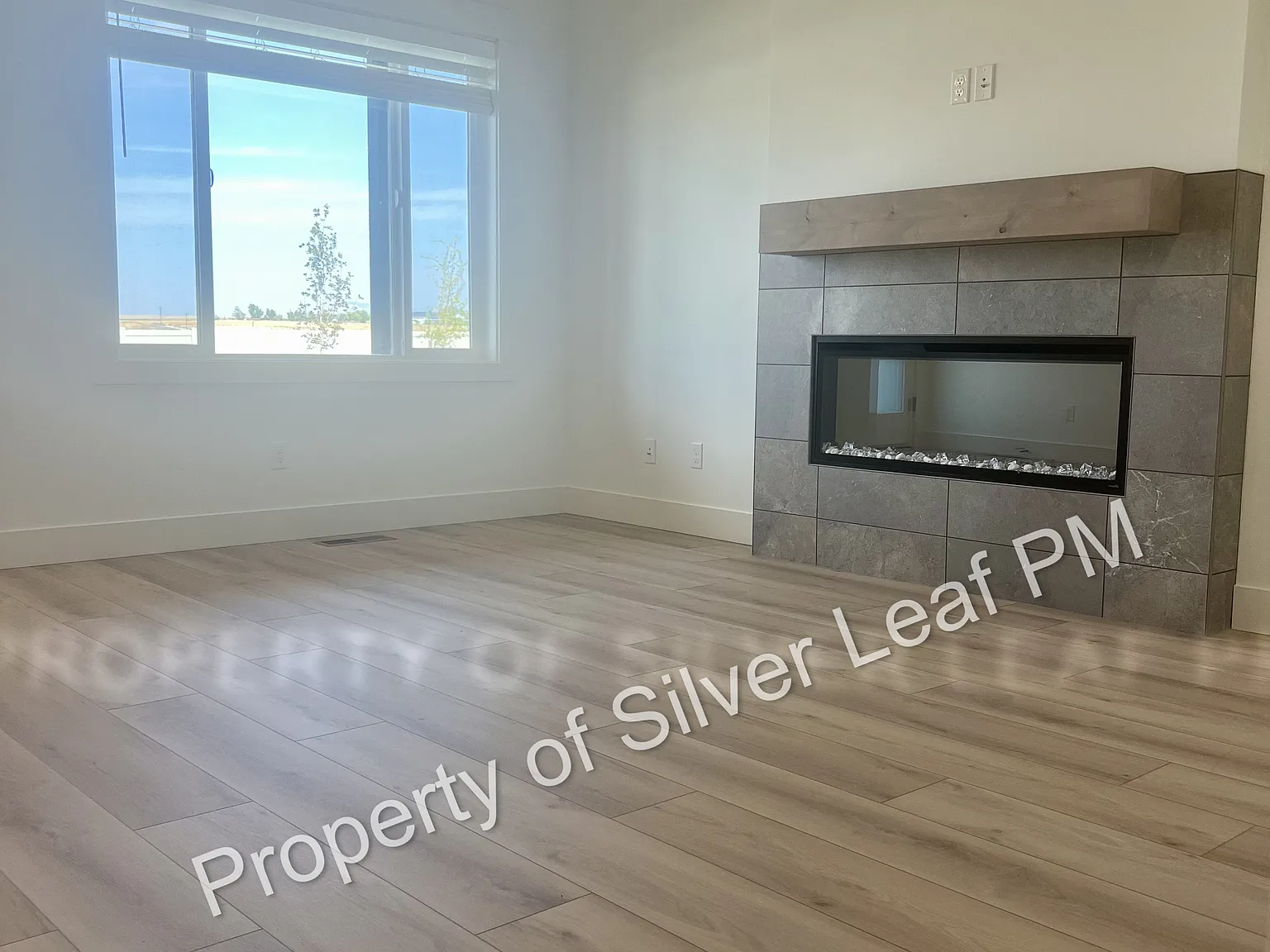 3 bed, 1646 sqft, $2,795 — Photo 4