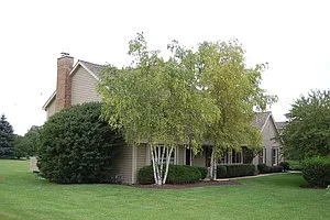 24 Wedgewood Dr photo 1