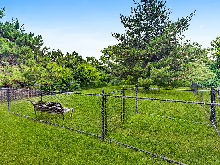 Dog Park