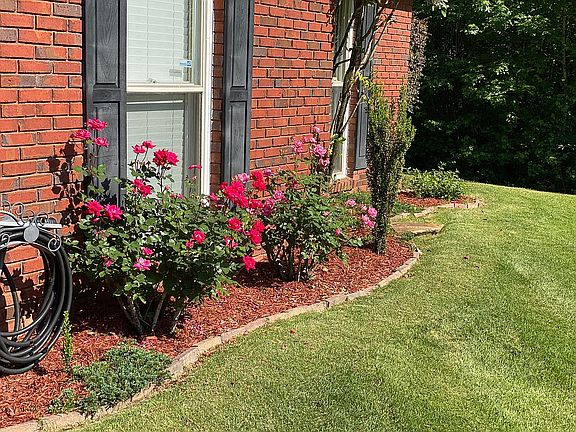 beautiful landscaping