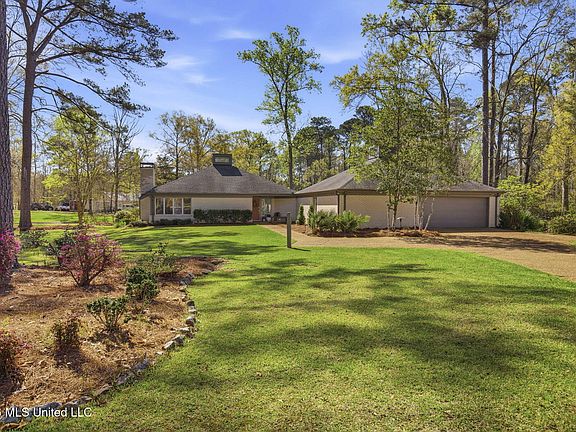 4th image of 4 Fern Cv