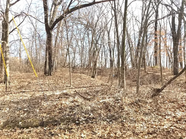 1750 Sunflower Dr, Varna, IL 61375