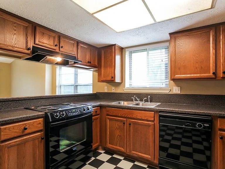5327 Enchanted Timbers Dr — Photo 10