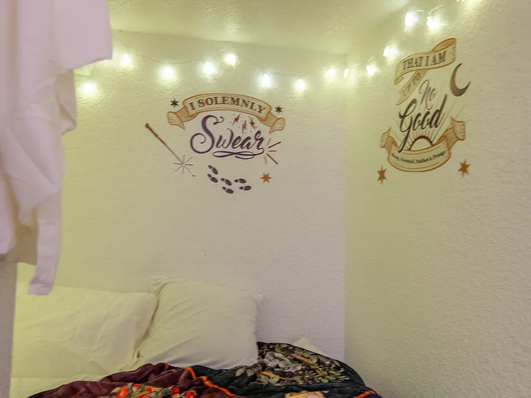 44310 Apache Plume St — Photo 42