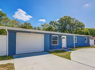 14823 N Iris Ave, Tampa, FL 33613