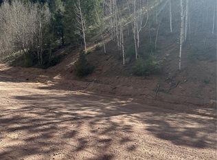 County Road 61 Dr, Florissant, CO 80816