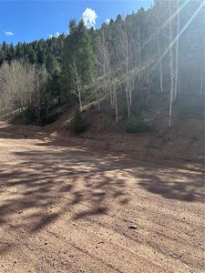 County Road 61, Florissant, CO, 80816