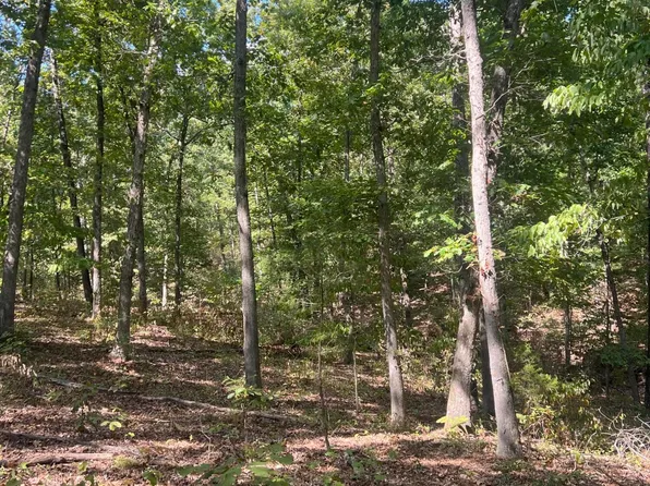 000 Hwy 76, Ava, MO 65608