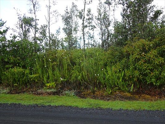 1st image of 10th Ave Lot 1593