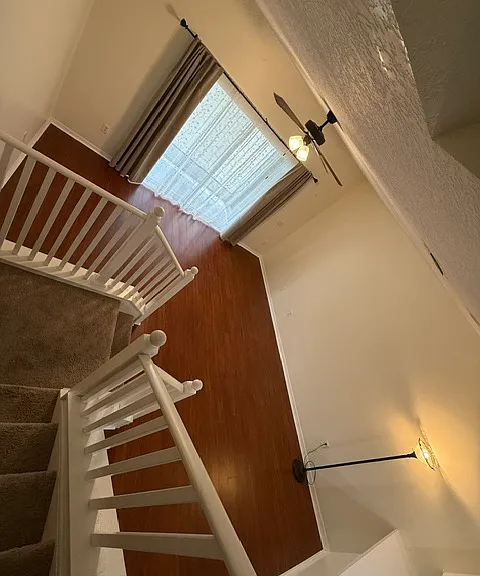 6729 Lake Rochester Ln — Photo 17