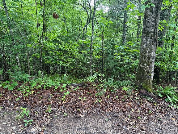 4th image of 14 Cedar Hill Rd