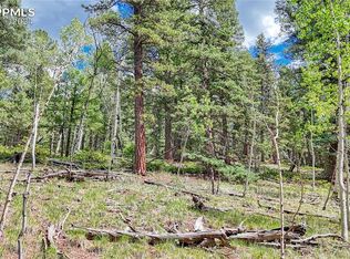 94 E Mariposa Cir, Cripple Creek, CO 80813