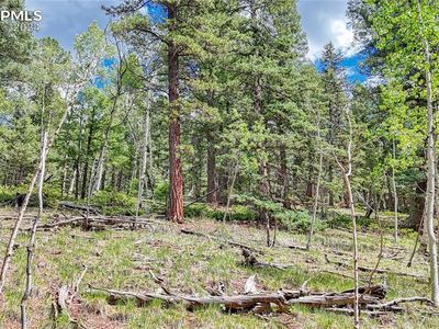 94 E Mariposa Cir, Cripple Creek, CO, 80813
