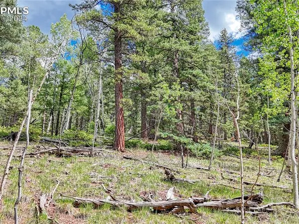 94 E Mariposa Cir, Cripple Creek, CO 80813