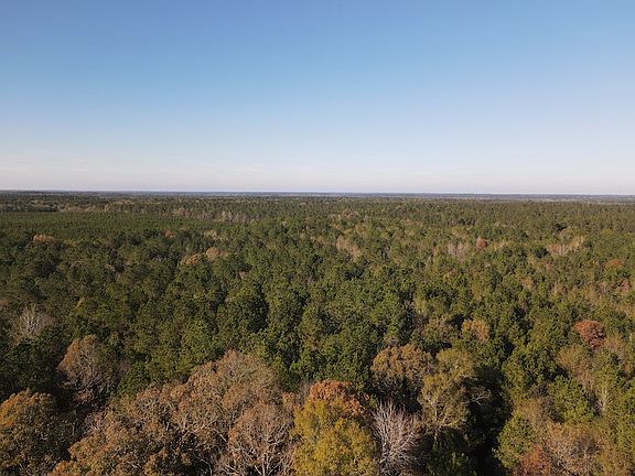 2nd image of Highway 129 Lot Wp036