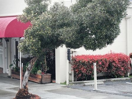 4th image of 14486 Big Basin Way