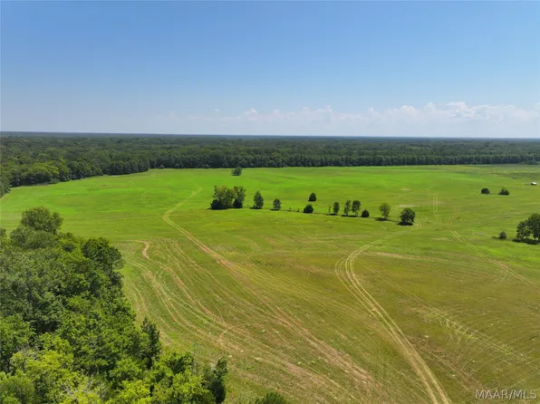 0 Foggy Hollow Trl, Fitzpatrick, AL 36029