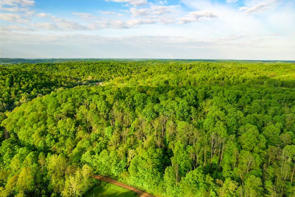 Real estate listing image