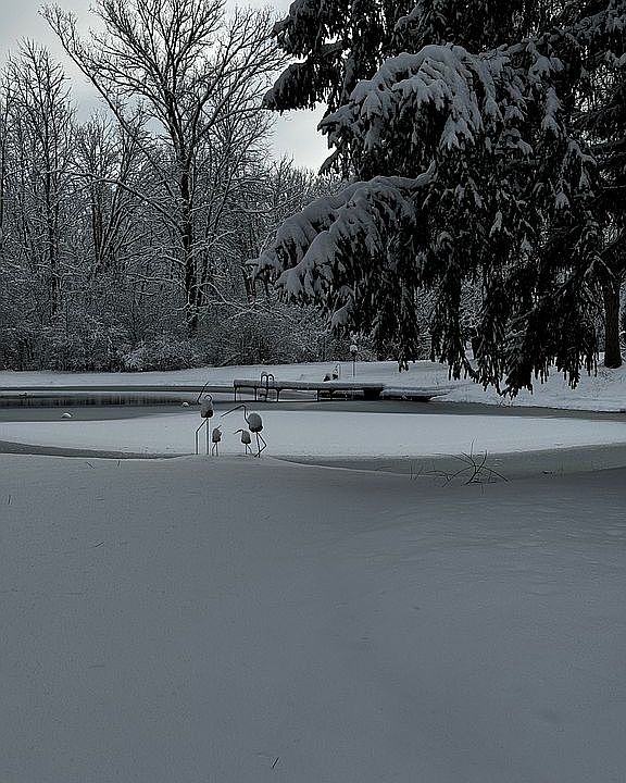 2nd image of 9919 Sherman Rd