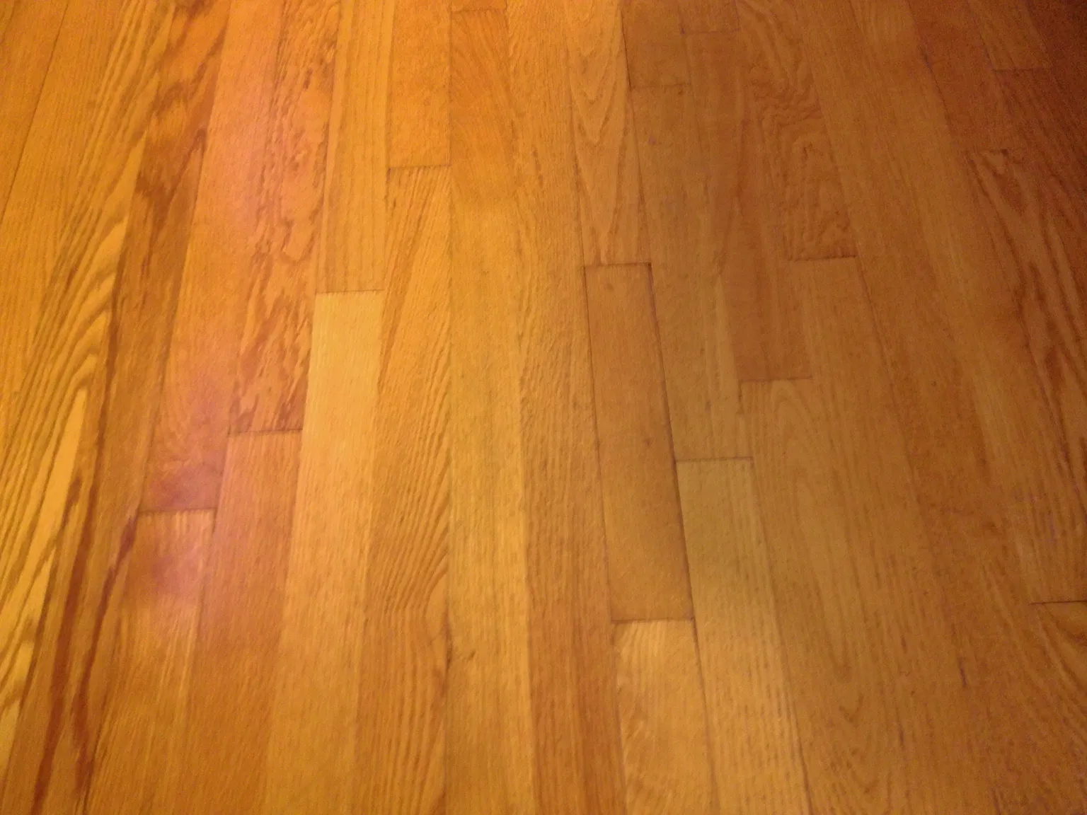 12 Bruce Rd — Photo 4