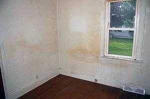 Main Level Bedroom