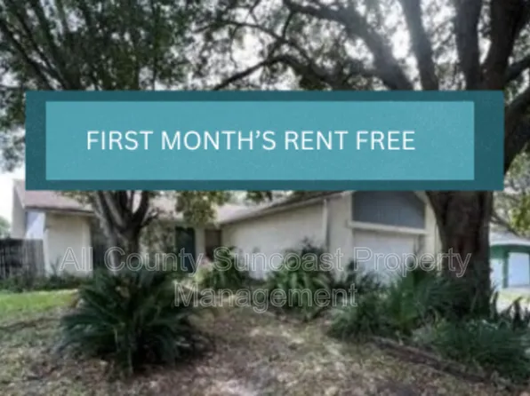 768 16th St, Palm Harbor, FL 34683