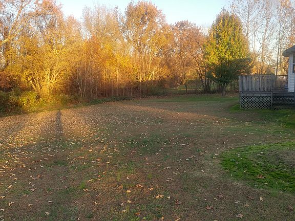 Back yard view