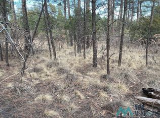 79 Riverside Rd, Timberon, NM 88350