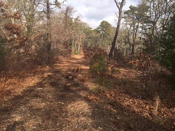 5th image of 246 Deer Meadow Ln