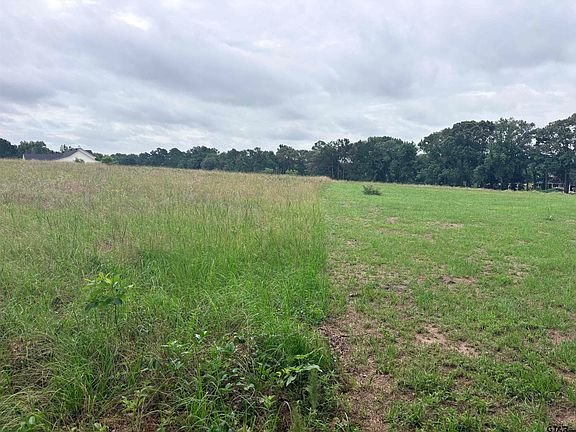 2nd image of LOT 2 County Road 401 S
