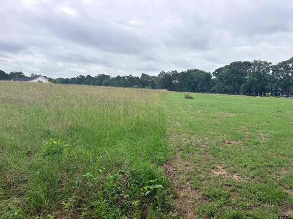 LOT 2 County Road 401 S, Henderson, TX 75654