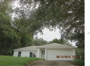 40234 Orange Cir, Lady Lake, FL 32159