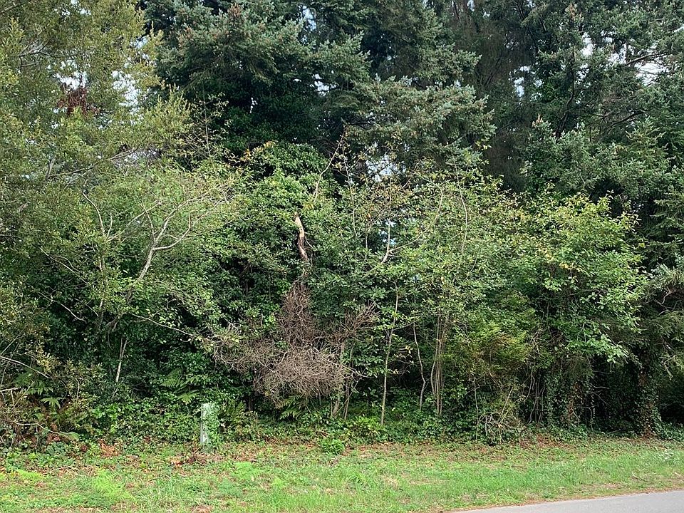 2nd image of N Bandon N