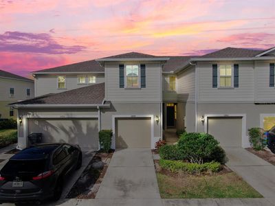 10838 Verawood Dr, Riverview, FL, 33579