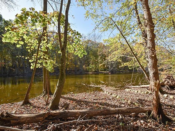 4th image of 8173 Huron River Dr