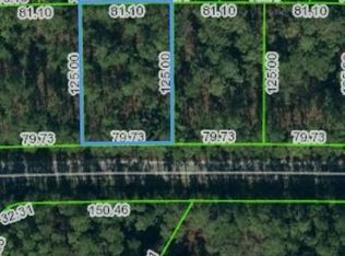 7136 Virtudes St, Sebring, FL 33872